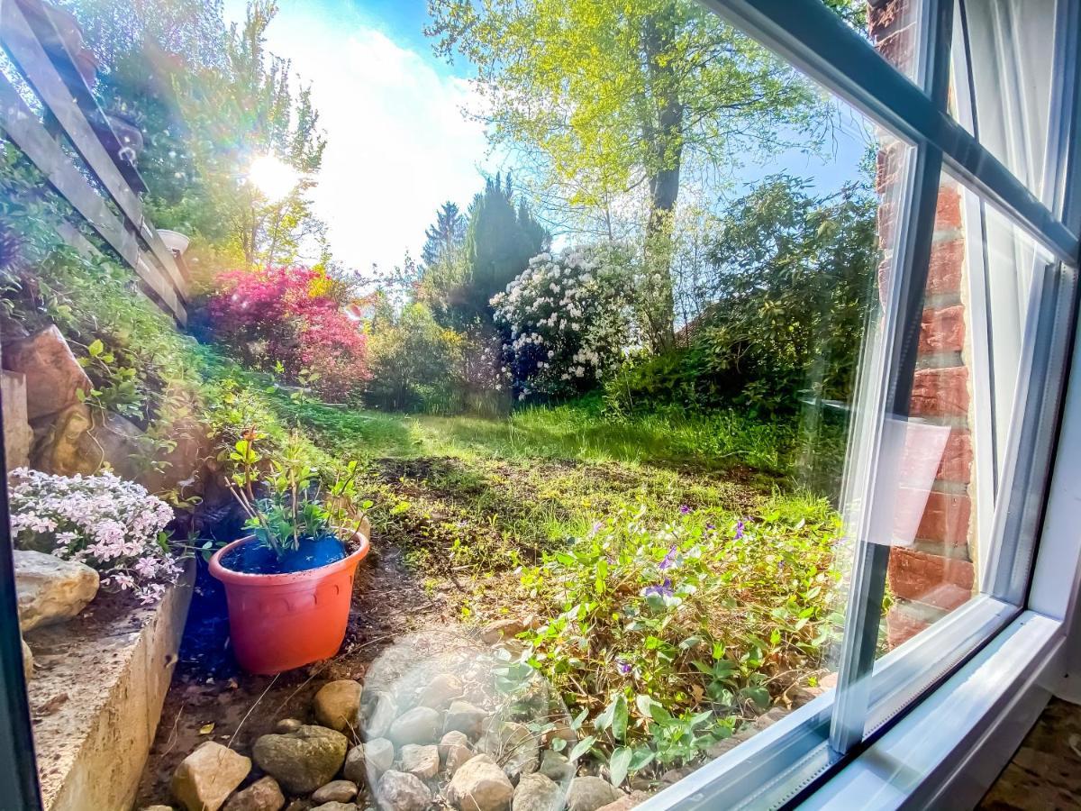 Ferienwohnung Im Sachsenwald Dassendorf Buitenkant foto